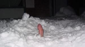 Snow Dick