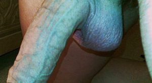 Huge Thick Uncut Bull Cock