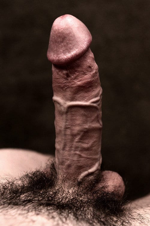 Big Veiny Cock & Pubes ⋆ Dickshots.com - Gay amateur dick pics. 