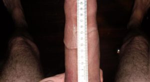 25cm Cock, Hung Like a Horse