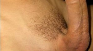 Trimmed Up Thick, Veiny Uncut Cock